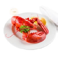APDG ~ National Lobster Day - 9/25
