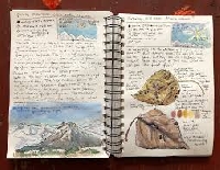 Traveling Notebook Adventures #7