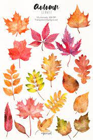 AMA : October Themed Envelope - Leaves