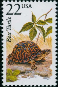 WIYM: Turtle Notecard with Note on it