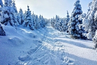 UKPP: Winter Postcard (2)