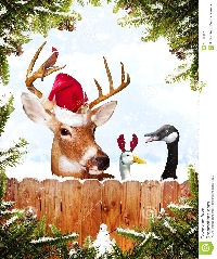 UKPP: Christmas Postcard - Animals