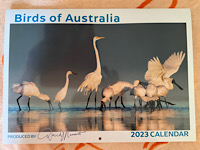 BLS: send a bird calendar