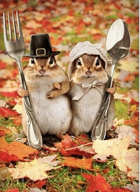 CPG: Thanksgiving or Autumn Notecard USA