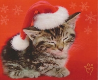 Scavenger Hunt Holiday card #2 - Cat or Kitten