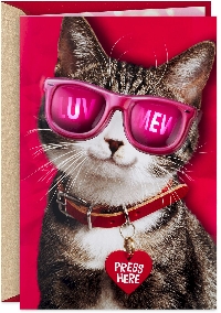 2 Partner Kitty Cat Valentine's Day Card - USA