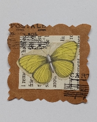 BL - Butterfly Stamps