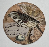 Birdy Coin