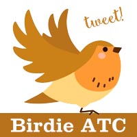 AK4: Birdie ATC 2x2