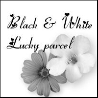 Black & White Lucky Parcel