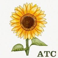AK4: Sunflower ATC 2x2