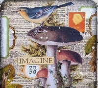 USAPC:  Ink Box Card #1:  Mushrooms
