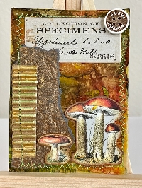 USATC: Magical Mushrooms ATC