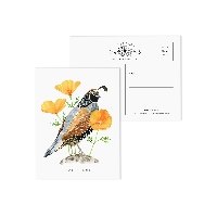 Bird Postcard