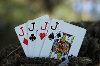 4 playing cards of Jack's X2 partners #3
