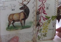 YTPC: Botanical/Wildlife Book Page Tag & Pocket