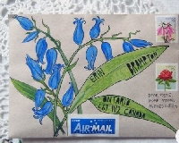 tLB:  Plant Mail Art & 1 page letter