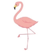 OATC: Funky Flamingos