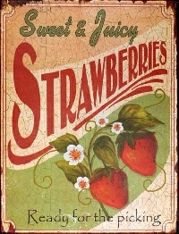 VJP:  Strawberry Summer