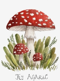 tLB:  Mushroom Mail Art & Letter