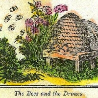 USAPC:  Ink Box Card #5:  Bees!