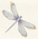 Butterflies, Dragonflies & Fireflies ATC'S