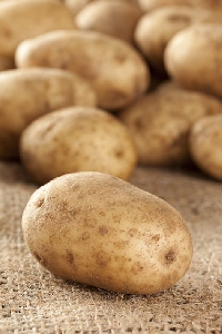 PS - August 2023- National Potato Day Aug 19.
