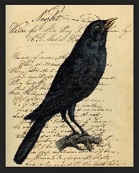 WIYM:  Hand Made Post Card  Ravens/Crows