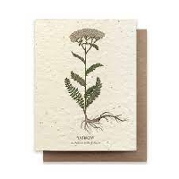 WC ~ Notecard: Plants and herbs (Wortcunning)
