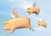 I see flying pigs