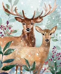 USAPC:  Inkbox Card #9:  Winter Deer