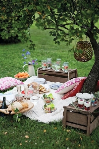 A Sunday Pic Nic with friends