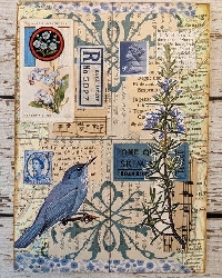 VC: Index Card Collage: Blue and Birds