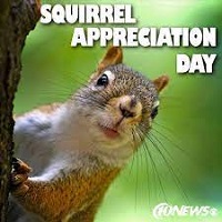  Squirrel Appreciation Day profile decoration 