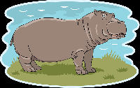 World Hippo Day PC swap