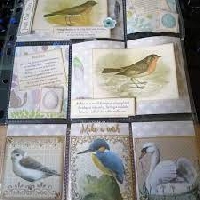 Bird themed mini pocketletter