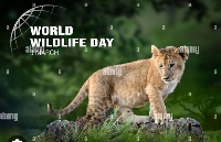 I love Nature - World wildlife Day