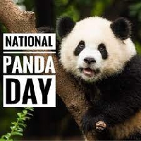 National Panda Day Profile Swap