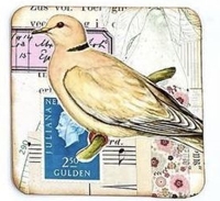 VC: Inbox birds part 4 cardinal and dove