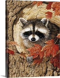 VC: Index Card Forest Animals Collection: Raccoon
