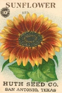 USAPC: Ink Box Card #14:  Sunflower(s)!