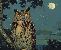 USAPC: Index Card Art: Owl + Moon