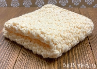 HG ~ Lemon Peel Dishcloth / Washcloth