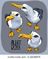 MFF: Albatross Inkbox Card