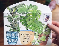 SMSUSA:  Botanical Mail Art + Tuck-In