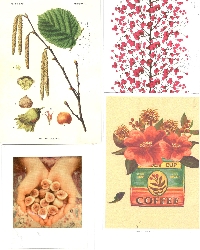 SIGN UP TO WIN 4 USED PLANT POSTCARDS