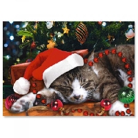 🎄🐱Meowy Christmas Cards USA 2024 #1