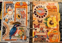 VJP: ORANGE Journal Page