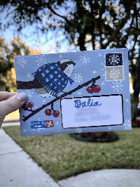 🦉❄️Bird in Winter Mail Art Swap - USA