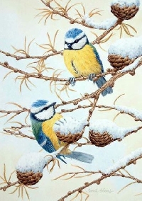 Winter Postcard #2 - Winter bird